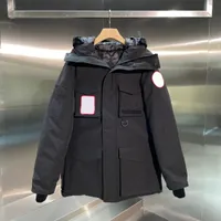 Kış Parka Aşağı Palto Klasik Kirpi Ceket Tasarımcısı Giyim Hoodies erkek kadın Kapşonlu Giyim Eşofman Dış Giyim Yelek Kazak Bluzlar Kazak Rüzgarlık