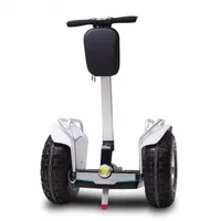 2019 New 19inch Balance Inteligente Scooter Elétrico Scooter Scooters Scooters Samsung Bateria 2400W Fat Tire Adultos Off Road Hoverboard