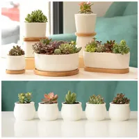 White Porcelain Succulents Pot Green Plants Flower Pot With Bamboo Tray Creative Office Tabletop Planter Concise Vase Home Decor