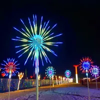 Utomhus dekoration LED fyrverkerier ljus julgran ljus 20st grenar färgglada byte av trädgård landskap ljus leveranser