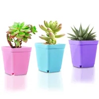 Succulent plant plastic flower Planters pots 7cm small square basin with tray seedling Mini Garden Supplies