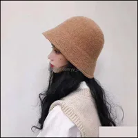 Ball Caps Hats & Hats, Scarves Gloves Fashion Aessories Korean Autumn And Winter Pure Wool Basin Hat Ladys Casual Dome Light Fishermans Drop