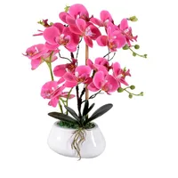 Simülasyon Çiçek Phalaenopsis Set Seramik Saksı Bitki Bonsai Dekorasyon Duygu Tutkal Süsler Dekoratif Çiçekler Çelenkler