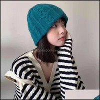Beanie Skl Caps Hats & Hats, Scarves Gloves Fashion Aessories Designer Temperament Twist Knitted Warm And Cold Proof Wool In Autumn Winter D