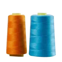 Naaipea Gereedschap Polyester draadspoelen kit voor hand naaimachine met naald schroefdiool -doe -het -zelfbenodigdheden