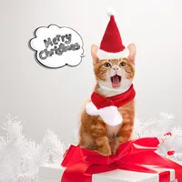 Dog Apparel Cat Caps Pet Santa Hat Birthday Scarf And Collar Bow Tie Christmas Costume For Puppy Kitten Small Cats Dogs Pets Accessories