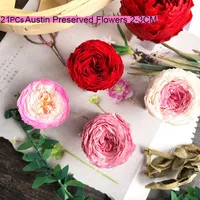 21pcs/box Austin сохранившая розовая головка цветочниц вечная жизнь Мини Бессмертные розы 2-3 см. Подарки DIY DIY DIS