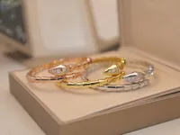 Snake Armbanden Armbanden voor Paren en Liefhebbers Bruiloft Speciale Gift met 18K Vergulde Diamond Serpentine Love Bracelet