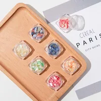 Nail Art Decorations 1 Box 3D Irregular Mix Color Natural Shell Glitter Flakes DIY Charms Crushed Slices Manicure Accessories