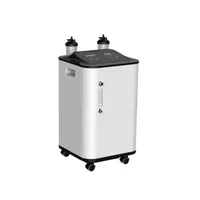 Luftrenare Portabelt hushåll 10L Oxygengenerator 95% Hög koncentrationsmaskin Inandning för äldre ZY-10ZW