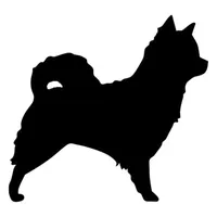 24 * 22.5 cm Chihuahua Peluş Köpek Güzel Karikatür Araba Çıkartmaları Motosiklet Dekoratif Aksesuarları Siyah / Gümüş S1-0010