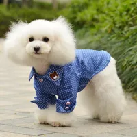Redondo Dots Cães Camisa Camisa Cães Moda Cães Simples Impressão Animal Primavera Primavera Bonito Filhote de cachorro Outfits Yorkies Azul Ropa Perro Fato