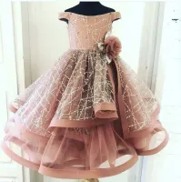 Blush rose 2020 nouvelle fleur girl robes robes de ballon petite fille robes de mariée vintage hors épaule communion robe de pageant dwj0208