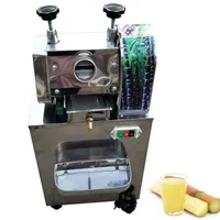 Máquina de exprimidor de caña de azúcar comercial Acero inoxidable Vertical Sugar Cane Squeezer Saccharum Extractor Juicing