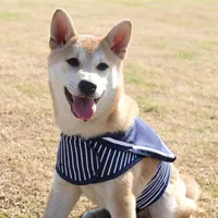 Köpek Yaka Tasmalar Pawzroad Pet Koşum Yavru Giysileri Kedi Güzel Donanma Stili Tasma Pothook Button Giyim 5 Boyutları Büyük Kaliteli