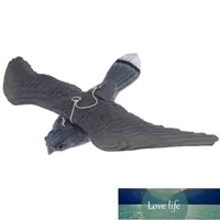 Pájaro volador realista Hawk Pigeon Decoy Control de plagas Garden Scarer Scarer Ornamento Ornamento del jardín Outdoor Fábrica Precio Experto Diseño Calidad Último Estilo