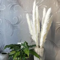 15pcs One Bunch Natural Dried Pampas Grass Reed Home Flower Bunches Decor For Party Wedding Decorations 784 B3