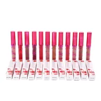 Lips Makeup Gold Lip Gloss 12 Colors Birthday Limited Edition Holiday Matte Liquid Lipstick Valentine Lipgloss DHL shipping