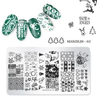 Stainless Nail Art Stamping Plates Kit för naglar Målning Design Stämpel Allt Manikyr Tillbehör och Verktyg NAP006