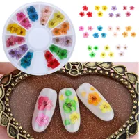 Декоративные цветы венки натуральные сухие набор наклейки для ногтей 3D многоцветные цветочные ломтики гель польские украшения DIY маникюр аксессуары SEL