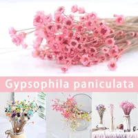 Decorative Flowers & Wreaths 30pcs Dried Flower Brazilian Little Star Gypsophila Chrysanthemum Art Decor DIY Xqmg Artificial Decorations 202