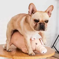 犬の眠っている豪華な豚のおもちゃの男性ペットセックスベントぬいぐるみプードルプレイコンパニオンフレンチブルドッグキャットコンパニオンエストラス動物ストレスREL Q0727