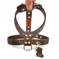 Luxury Barock Dog Harnesses Leashes Ins Mode Slitstarkt Läder Husdjur Harness 6 Mönster Personlighet Charm Bulldog Leash