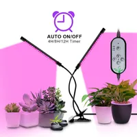 Grow Lights LED-licht Phytolamp DC5V USB timer volledig spectrum Alle spanning verkrijgbare waterdichte draagbare plant voor planten bloemen groeien