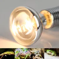 PET caldo riscaldamento della lampadina Spotlight R80 220V 110 V 75W E27 Amphibia Animale Rettile Lucertola Tortoise Snakes Frog Tenere Grow Luci