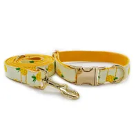 Dog Collars Riemen Fruit Design Collar voor kleine, middelgrote en grote kattenhonden Dogs Gratis letters om voor huisdieren te voorkomen