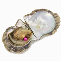 Fuchsia Pink 7-8mm Love Wish Round Akoya Pearl in Oyster met vacuüm-verpakt 20 stks Mix 27 kleuren Enkele parel Akoya Oysters ZZ002