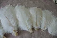 Großhandels100pcs weiße Straußfederfeder für Hochzeitsmittelstück Hochzeitsdekor PARTEI-EREIGNIS-Dekorversorgungs feative Dekor
