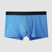 Underpants Men&#039;s Boxer Briefs Soft And Comfortable Breathable Shorts Boys&#039; Teenager Boxers Men Underwear 2pcs