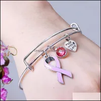 Bracelets de charme bijoux femmes ruban pour la sensibilisation au cancer du sein féminin sensibilisation extensible SIER SIER Bangle infirmière survivant cadeau goutte-cadeau DROP DROP Drop 2021