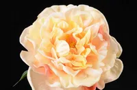 Новые Красивые Искусственные Цветы Главная Свадьба Фон Украшения Пион 72см Размер оптом