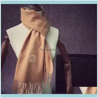 Wraps Hats, & Gloves Aessories Elegant Cashmere Scarf Warm Scarves Fashion Letter Simple Design For Man Women Shawl Long Neck 4 Color Highly