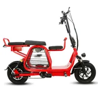 Scooter eléctrico de bicicleta con asiento / canasta para mascotas para adultos portátiles de dos ruedas 400W 48V de acero altamente altamente carbono 12 '' bicicleta