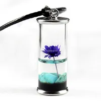 Natural Stone Pond Scenery Flower Daisy Necklace Time Wishing Bottle Pendant Necklaces for Women Children Fashion Jewelry Will and Sandy