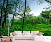 Tapety Niestandardowe Mural 3d Po Wallpaper Green Duży Drzewny Las Wejście Krajobrazowy Krajobrazowy Pokój DZIEWCZYNY NA ŚCIANY W ROLLS Wystrój domu