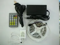 CW+WW Double Color Temperature 60LED/m 5m 300LED LED Strip Light Tape IP20/IP65+24Key IR Remote+12V 5A Adapter Strips