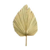 Fiori decorativi Corone Natural Palm Spears Shed foglie secche con decorazioni da sposa stelo per decorazione domestica bohémien, decorazione neutra arco