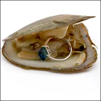Perles perles perles bijoux huîtres d'eau douce de fortune avec bague de gemme sier sier ou cadeaux shell amour souhaite huîtres goutte drop