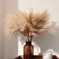 30 tallos de color crudo color pluma decoración de boda flor racimo pequeño pampa hierba hogar deco real reed plantas naturales ornamentos