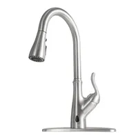 Dra ner Touchless Single Handle Kitchen Faucet