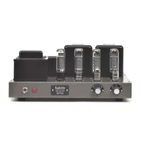 Raphaelite DP34-LS35A EL34 push-pull tube amplifier Hifi dedicated amplifier, Input Sensitivity 180mV, Power Output: 2 * 28