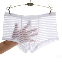 Män Underbyxor Genomskinlig Is Silk Briefs Mesh Sheer Pouch Stretchy Seamless Panties Transparenta Stripes Tunna Thongs Underkläder