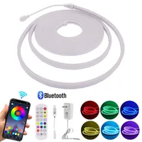 Strips DC 12V Neon LED Strip RGB 3535 Dimmable Light With Bluetooth APP Remote Control Outdoor Waterproof Tape Home Decoration