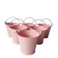 Metal Pails Mini Buckets Pink Succulents pot small flowers series iron pail / storage cup / tin box/babyshower party favor