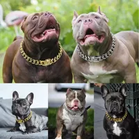 Collares Collar de perros de acero inoxidable Suministros de mascotas Accesorios Medium Garm Gold Gold Solid Cuban Cadine Inventario Al por mayor