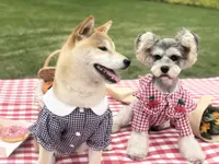 Sweet Cute Style Dog Apparel Summer Red Plaid Shirt voor Puppy Kleding Miniatuur Honden Kirky Huisdier Kleding